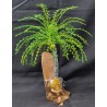 Palmier en fer sur socle en bois déco des îles Palmier en fer sur socle en bois déco des îles
